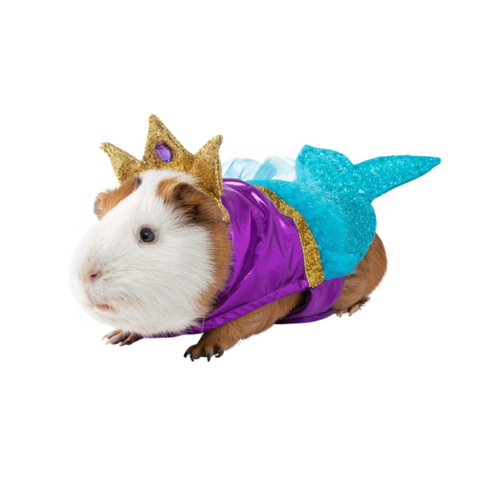 💮3/$30💮 Mermaid Halloween Small Pet Costume